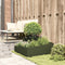 vidaXL - Plantenbak - Olijfgroen - 80x80x50 - cm - Koudgewalst - Staal