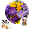 Plant in a Box - Crocus Large Flowering Mix - Bloembollen x30 - Krokus - Paars / Geel