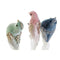 Kerstversiering DKD Home Decor Multicolour Vogel 25 x 7 x 6 cm (3 Stuks)