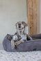 Designed by Lotte Ribbed - Hondenmand - Premium ribstof - Bruin - 95x80x23 cm
