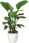 Elho Brussels Rond Wielen 47 - Grote Bloempot - 100% Gerecycled Plastic - Ø 46.5 x H 43.5 cm - Wit