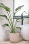 Capi Europe - Bloempot Waste Rib NL - 43x41 - Terrazzo beige - Breukbestendig - 100% recyclebaar