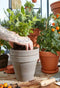 Mica Decorations Bloempot Souk - 37x37x6 cm - Terracotta - Terra- Set van 4