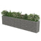 vidaXL - Gabion - plantenbak - verhoogd - 450x50x100 - cm - gegalvaniseerd - staal