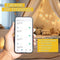CozyHome Safari Fairy Lights voor de kinderkamer - APP-afstandsbediening & 20 LED-dieren I 5M USB I