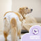 Easypets Dog Diapers Female - Hondenluiers Teef - M/L - 30 stuks - Grootverpakking