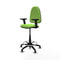 Piqueras y Crespo B2D01RT - Bureaustoel - Hoogteverstelbaar met armleuning - Pistache