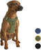 Jake and Jacky Hondentuigje - Anti-Trek Tuig - Y Tuig Hond - Reflecterend - Groen - Maat L