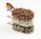 Desserts for Birds - Indian Summer