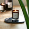 Riviera Maison RM Luxurious Cedar Scented Candle M set van 2