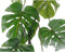 Everlands Monstera/gatenplant kunstplant slinger - 180 cm - groen