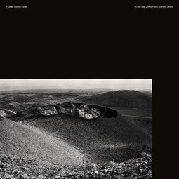 A Dead Forest Index - In All That Drifts From Summit Down - LP - Ondoorzichtig vinyl