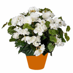 Mica Decorations Begonia - Kunstplant met bloemen - 37 cm - Wit - Terracotta pot
