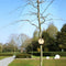 Capi Europe - Vogelhuisje rond Hive - 19x23x20 - Bruin - Capi Biodiversity Hive - AHBIB001