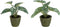 J-Line plant Anthurium/Olifantsoor In Pot - kunststof - groen - 2 stuks
