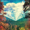 Tame Impala - Innerspeaker - 2 LP - Psychedelische rock
