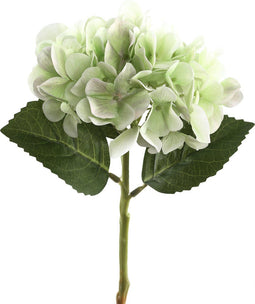PTMD Hydrangea Flower Hortensia Prikker - 16 x 15 x 35 cm - Groen