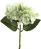 PTMD Hydrangea Flower Hortensia Prikker - 16 x 15 x 35 cm - Groen