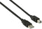 Nedis CCGP60100BK30 - USB A naar USB B kabel - 300 cm - Zwart