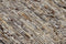 Home ESPRIT - Tapijt - 160 x 230 cm - Bruin