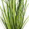 Decoratieve plant 45 x 40 x 74 cm Groen PVC
