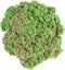 Kinetic Sand Zeeschelp 127 gram - Groen of Paars - 1 exemplaar