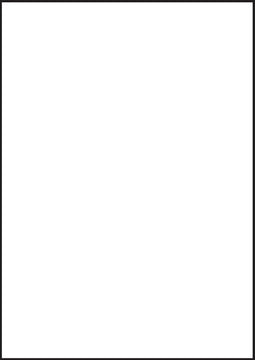 Transparante A4 etiketten 210 x 297 mm (25 vel)