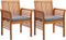vidaXL - Tuinstoelen - 2 - st - met - kussens - massief - acaciahout