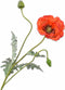 Silk-ka Kunstbloem-Zijden Bloem Klaproos Oranje 98 cm