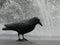Vogelverschrikker Kraai 39 x 12.5 x 11.5 - Levensecht - Duivenschrik