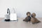 Just Mobile AluPlug - Oplader - 2 USB poorten - Zilver