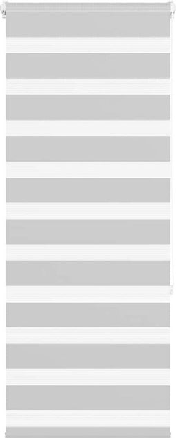 vidaXL - Zebra - rolgordijn - 65x150 - cm - stofbreedte - 60,9 - cm - lichtgrijs