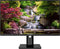 Japannext JN-IPS2382FHDR-HSP - Monitor 23,8