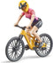 bworld Mountainbike mit Radfahrerin