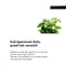 Kweekset met Groeilamp | Binnentuin met Kweeklamp | Kruidentuin | Indoor Garden