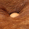vidaXL - Barkrukken - 2 - st - ruw - mangohout - echt - leer - bruin