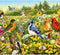Ravensburger puzzel Vogels in de wei - Legpuzzel - 500 stukjes