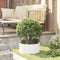vidaXL - Tuinplanten - 5 - stuks - Wit - 40x40x20 - cm - Staal