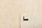 MOMO Rugs Panorama Uni White Vloerkleed - 200x300 - Rechthoek - Laagpolig Tapijt - Klassiek - Beige