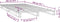 vidaXL - Palletbed - massief - grenenhout - wit - 100x200 - cm