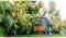 Bosch EasyGrassCut 23 - Grastrimmer - Snoer - 230 V - Snijbreedte 23 cm