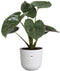 Elho Jazz Rond 35 Bloempot - 100% Gerecycled Plastic - Ø 34.5 x H 32.2 cm - Zijdewit