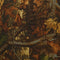 Buteo Photo Gear - Regenhoes 2 - Waterdicht - Groen