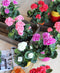 Mica Decorations Geranium Kunstplant in Bloempot Stan - H34 x Ø20 cm - Donkerroze