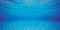 Juwel Aquarium Decoratie - Poster - L - 100x50 cm