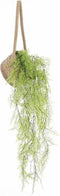 Mica Decorations Anne - Hangende Bloempot - Set van 2 - H20 x Ø25 cm - Lichtbruin (2 stuks)
