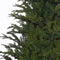 Black Box Trees Frasier Kunstkerstboom - H155 x Ø109 cm - Groen