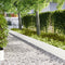vidaXL - Tuinrandjes - 20 - stuks - Wit - 100x0,5x30 - cm - Staal