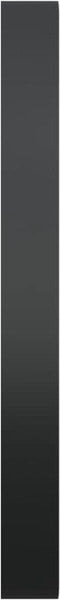 vidaXL - Wandspiegel - 30 - cm - zwart
