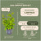 Plants by Frank | 1 strekkende meter haagbeuk | 6x Carpinus Betulus Ø12 cm - 20 cm | winterharde haagplanten | Bladverliezende haag | Tuinplanten | Planten